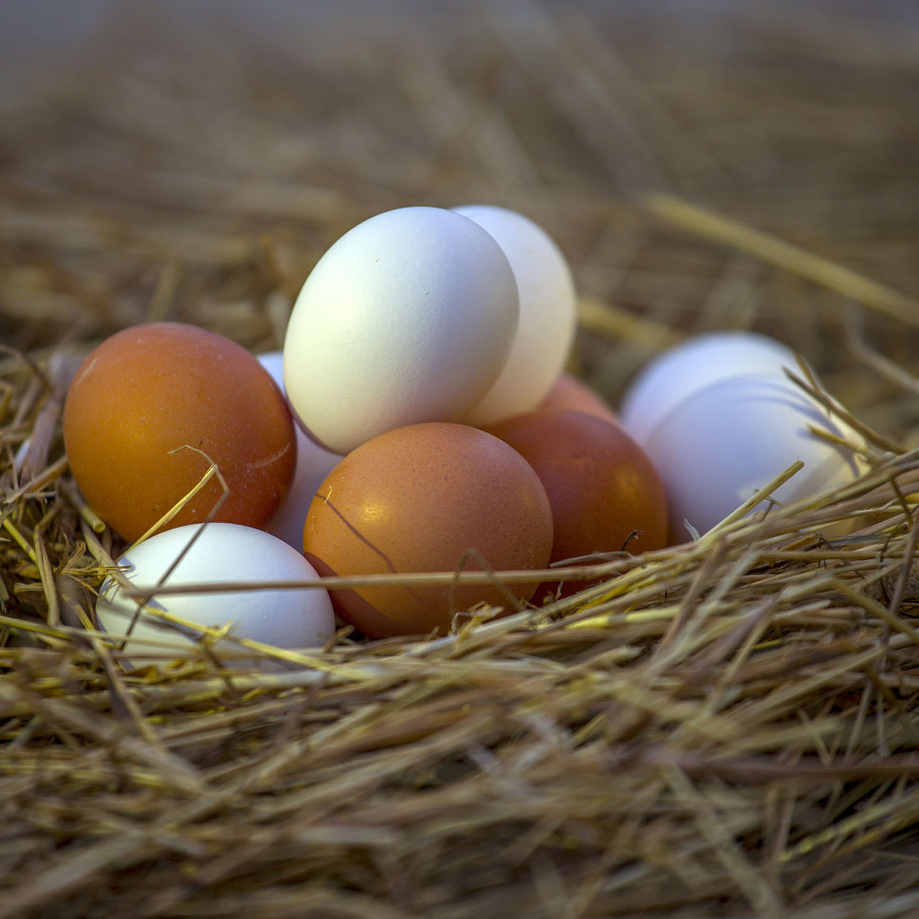 картинка Фермерское яйцо
