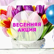 Весенняя акция: скидка 10% на всё!